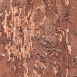 Maderas beautiful cracked wooden texture with old cracked red color. hor