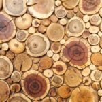 Maderas round wooden stumps background,trees cut section for background