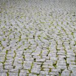 Piedras rough cobblestone pavement with moss