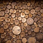Maderas cross,section,of,tree,trunks,background.,decoration,of,cutting,tree.