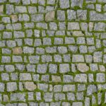 Piedras texture,of,road,paved,with,stones,and,sprouted,green,moss