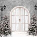 Navidad a05003 n (escala)