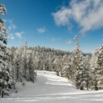Navidad breathtaking scenery of a snowy forest full of firs under the clear sky