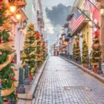 Navidad san,juan,,puerto,rico,christmas,tree,lined,road,in,the